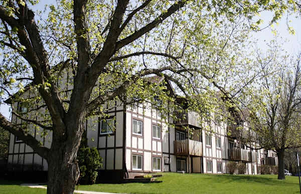 Olive Terrace Apartments property